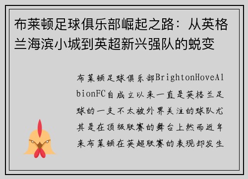 布莱顿足球俱乐部崛起之路：从英格兰海滨小城到英超新兴强队的蜕变