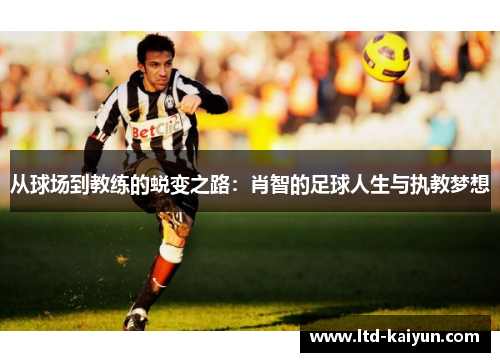 从球场到教练的蜕变之路：肖智的足球人生与执教梦想