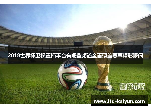 2018世界杯卫视直播平台有哪些频道全面覆盖赛事精彩瞬间
